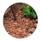 Wood Mulch