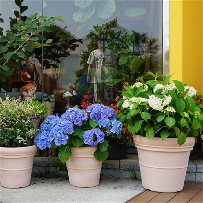 Plant Pots Planter