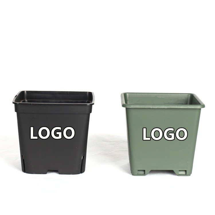 Specific Square Blueberry Planter