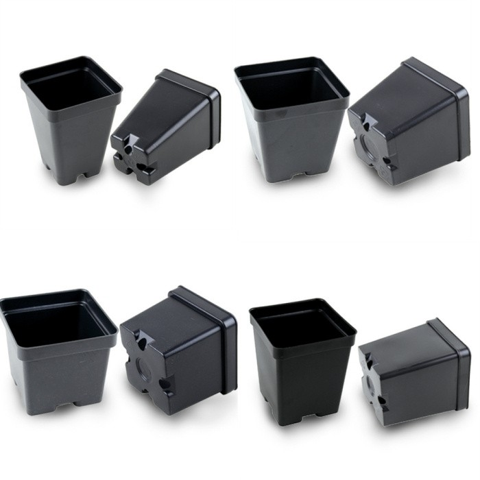 Square Seedling Cups