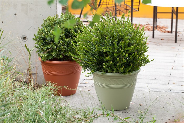 Large spiral pattern flower pots07