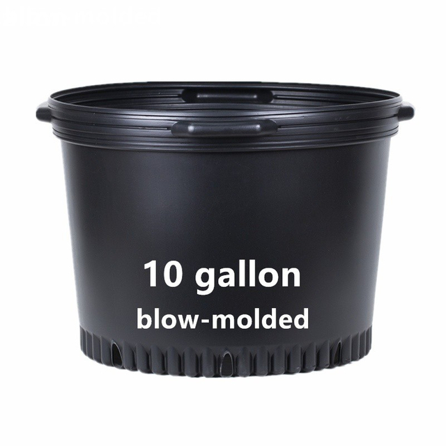 10 Gallon Root Control Pot