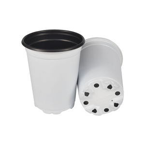 Plastic Seedling Pot