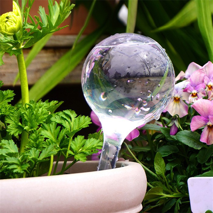 Plastic Plant Watering Bulbs