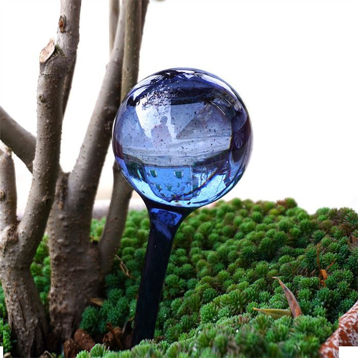 Water Globes For Plants