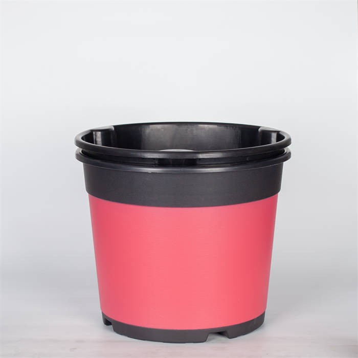 Potato Nursery Pot08