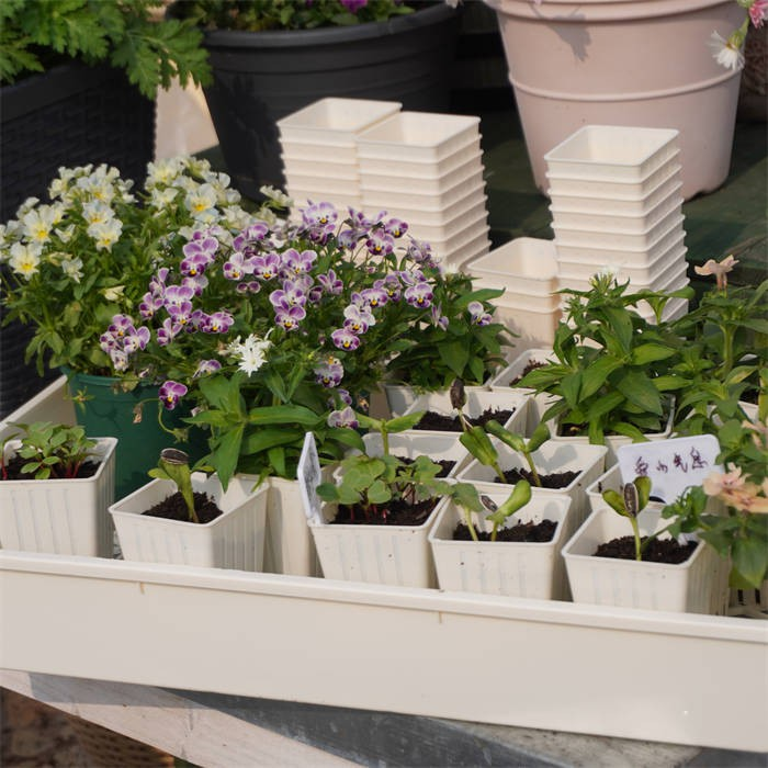 Seedling Pot Holder Tray08