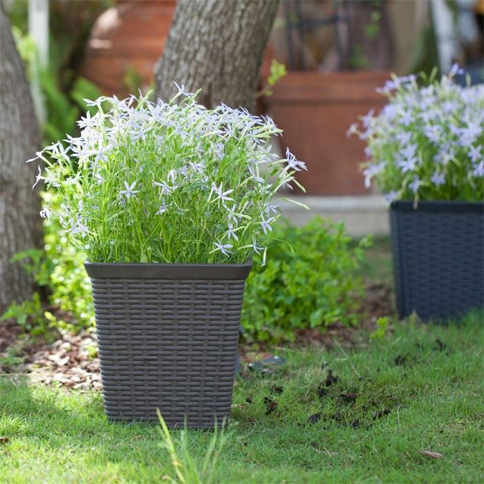 Square Rattan Planter