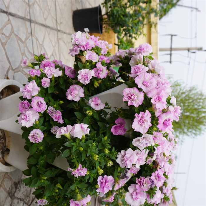 stackable planter07