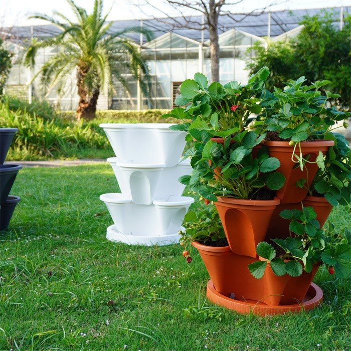 Strawberry Growing Tower06