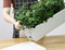 Green Sailing Window Box