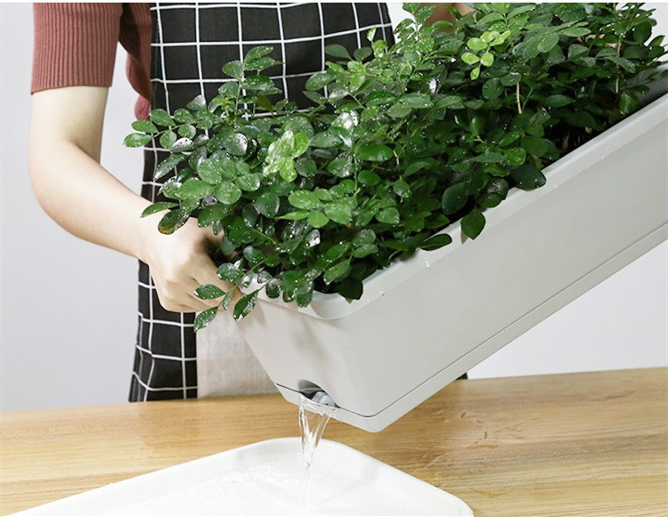 Green Sailing Window Box