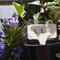 Plastic Gardening Label