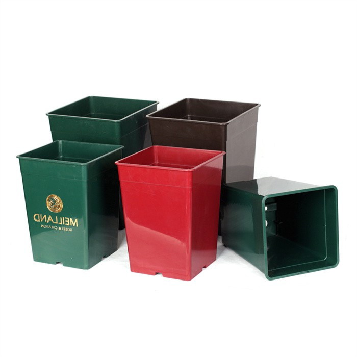 Square Clematis plant pot07