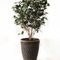 15 Plastic Planter