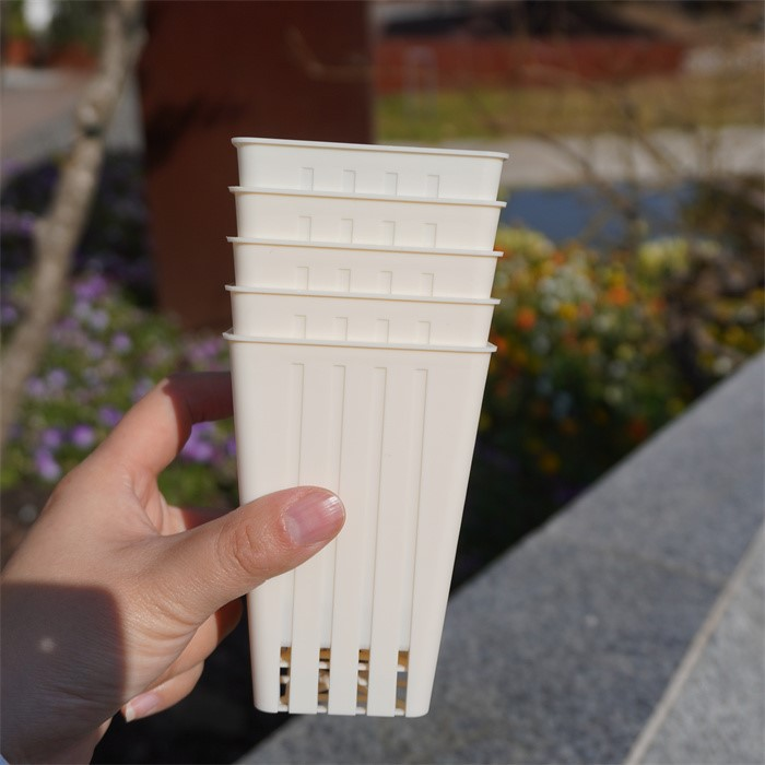 Square seedling cup05