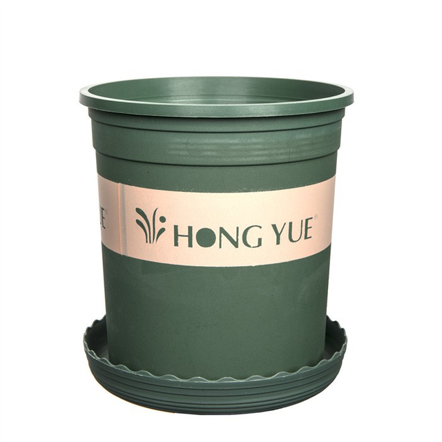 Hydrangea Special Pot