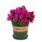 Printed Nursery Pot