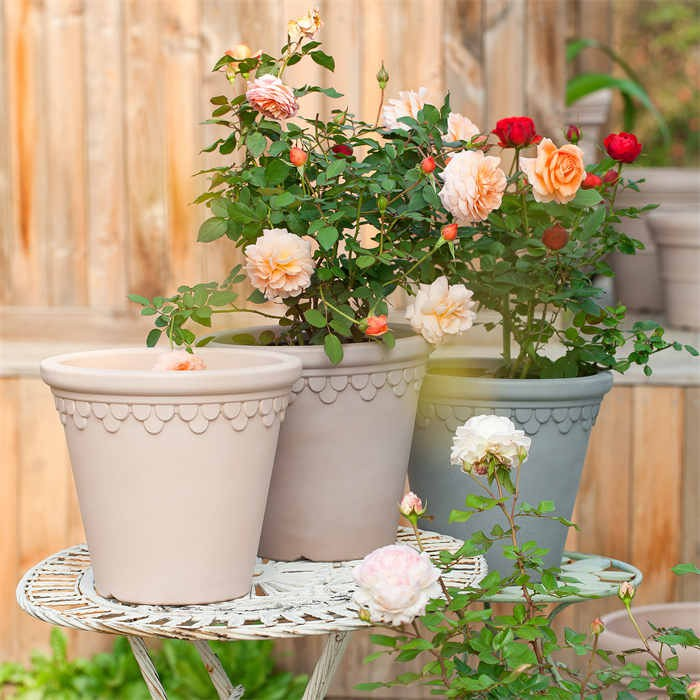 Plastic Flower Pot05