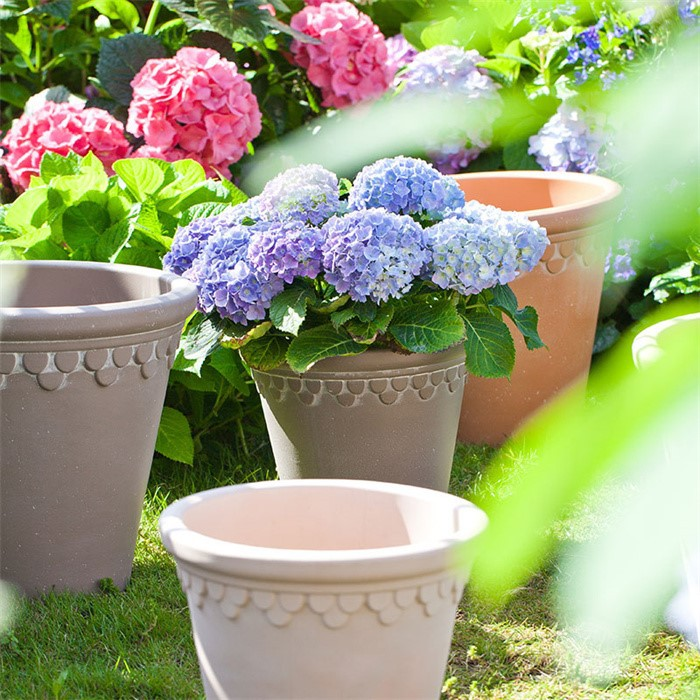 product-700-700