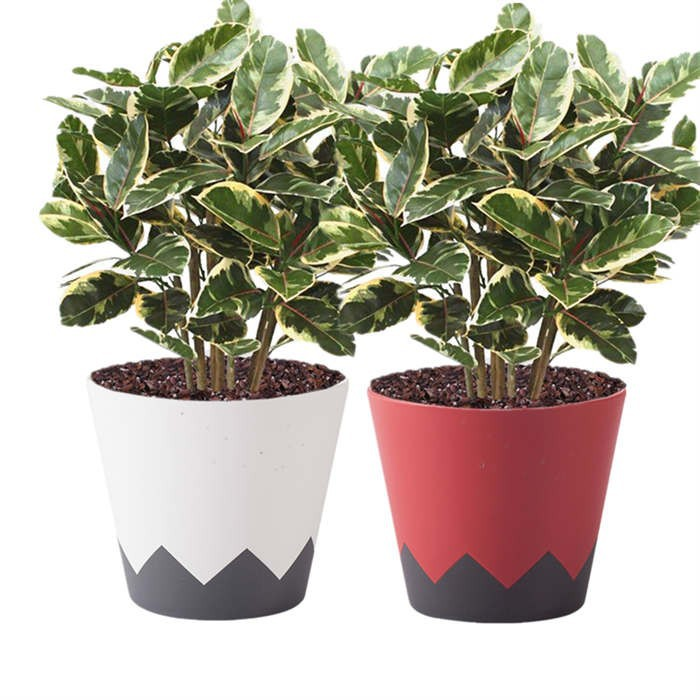 Mini Geometric Pot For Tabletop