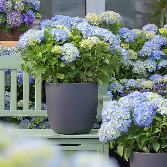 Self-watering planter02