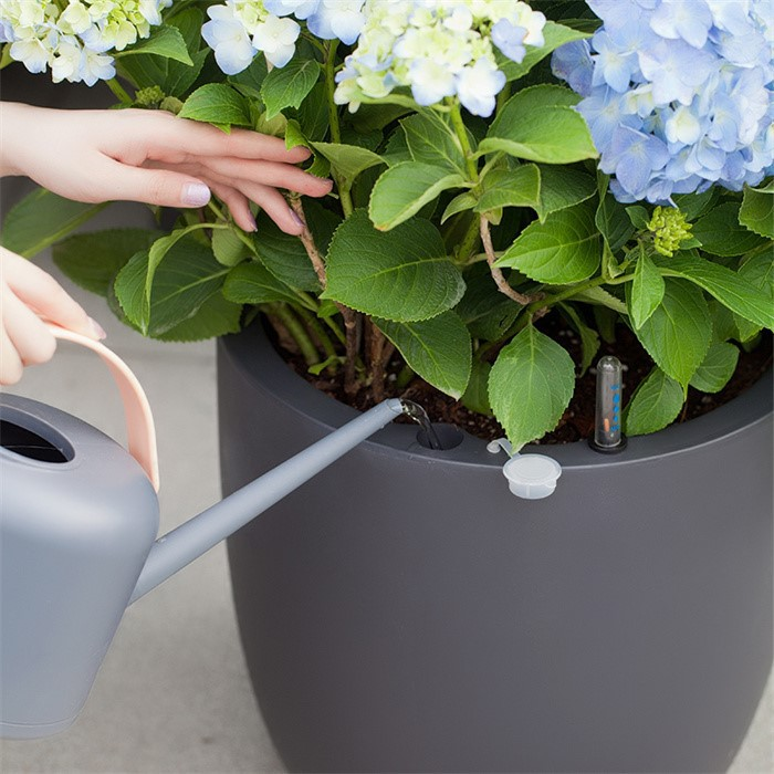 self watering pots for plants06