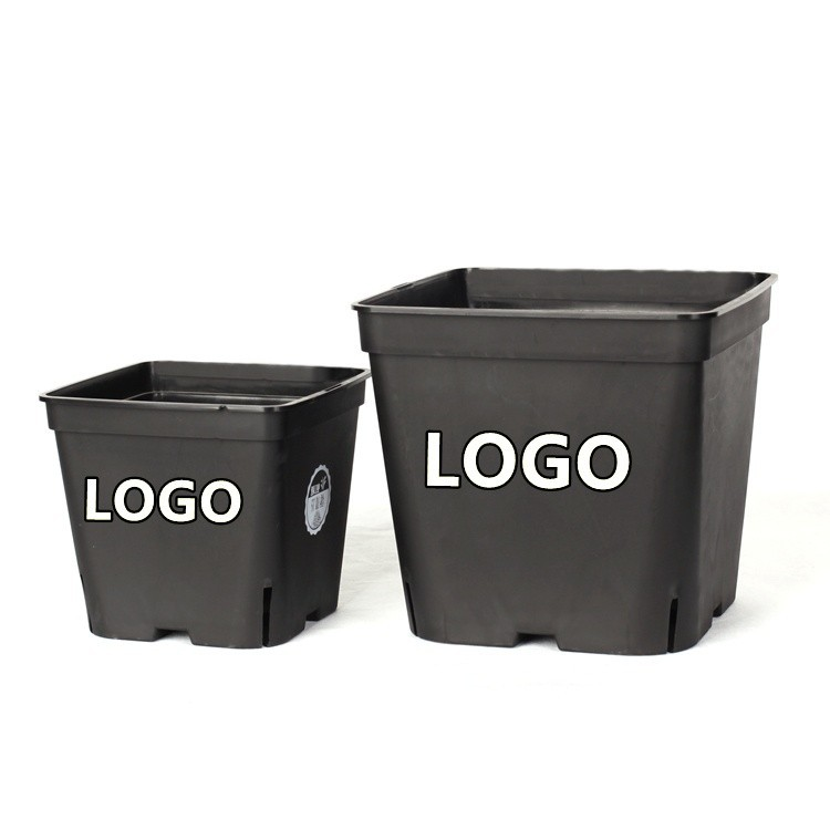 14 Inch Square Blueberry Pot