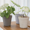 Frosted Small Flower Pots