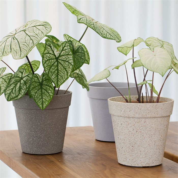 Frosted Small Flower Pots
