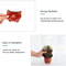 Pp Plastic Seedling Pot