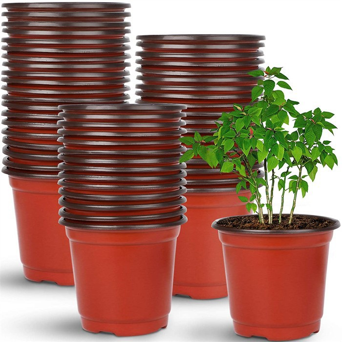 Square seedling cups05