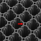 Deep Cell Plug Trays
