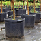 0.5 Gallon Plastic Plant Pot