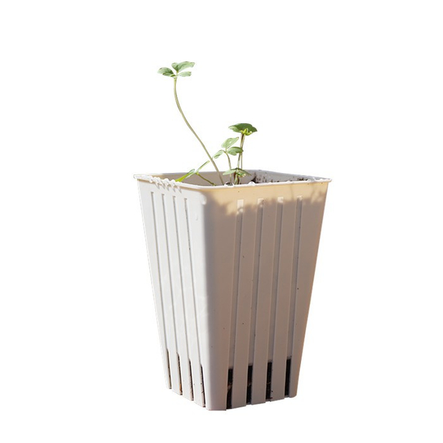 2.75" Square Nursery Pot