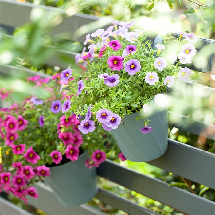 product-700-700