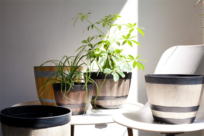 Round Bucket Planter01