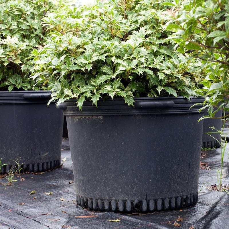 14 Gallon For Gardening