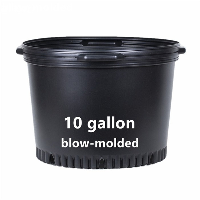 10 Gallon Wholesale Nursery Pot