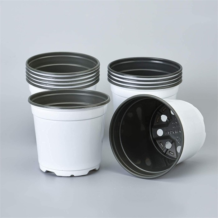 Square Thermoform Pot