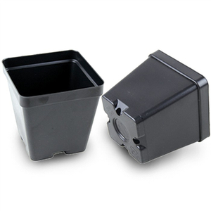 Square Greenhouse Container