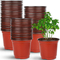Thermoform Pot