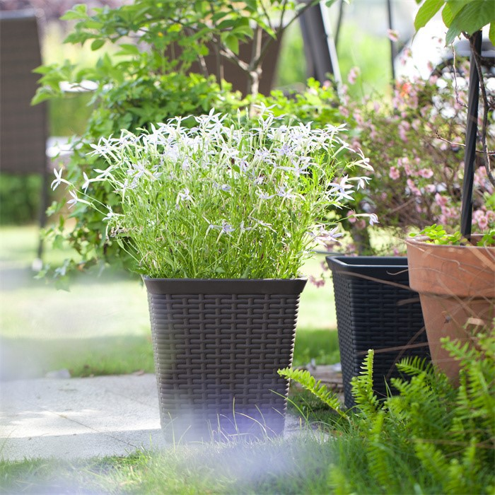 Pe Plastic Artificial Rattan Flower Pot06