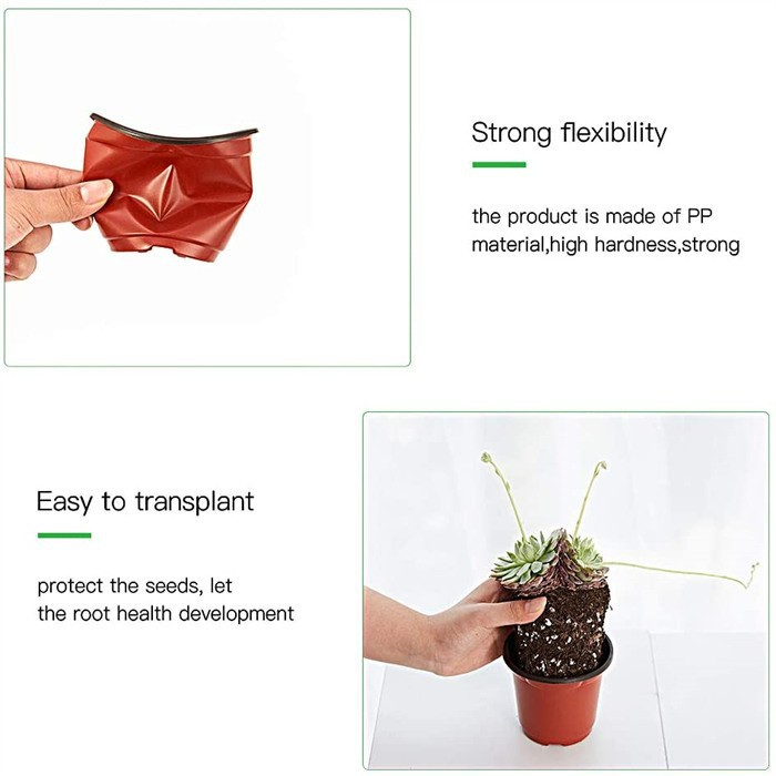 Square Co Ex Nursery Pot