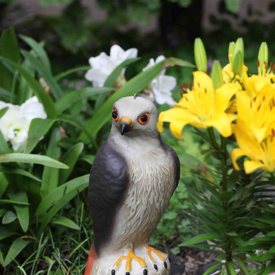 Plastic Owl Garden Ornaments