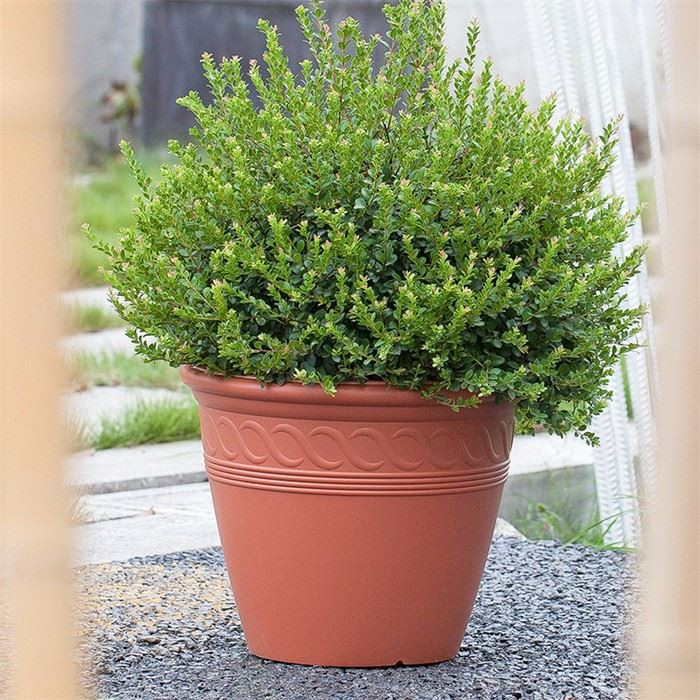 15" Spiral Planter