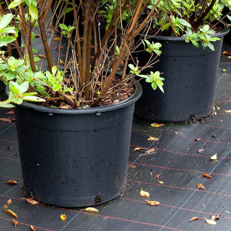 Reusable 1 Gallon Nursery Pots