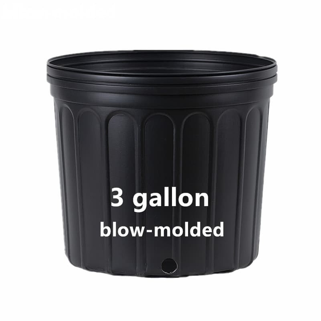 3 Gallon Pot