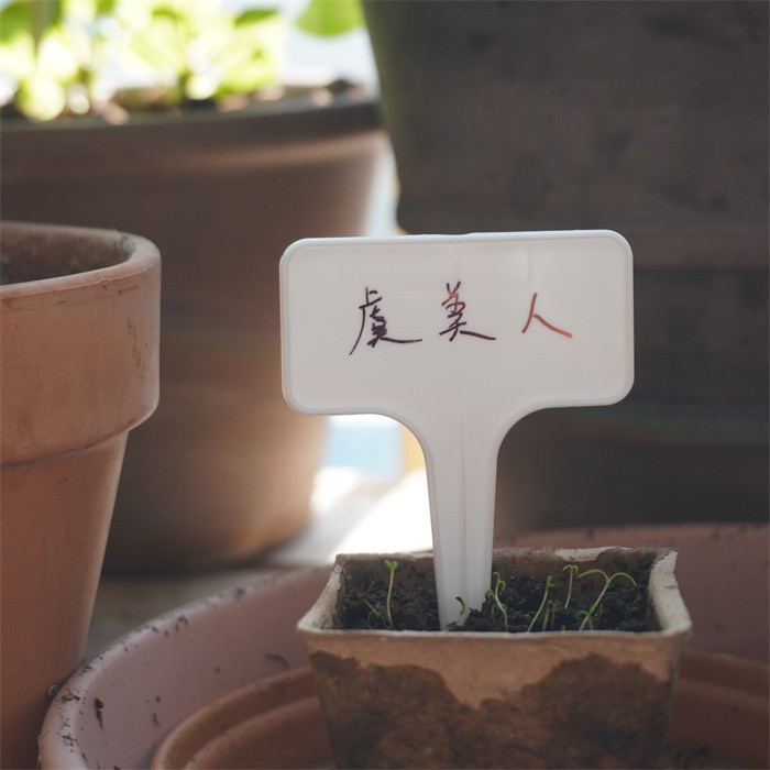 Plastic Tag