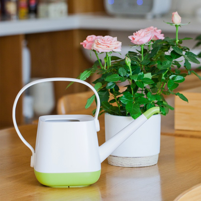 Reusable Water Bottle